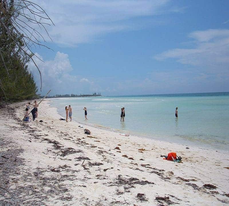 Freeport Bahamas beaches and nature spots
