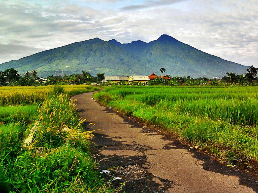 Heading To Bogor 4 Incredible Things To Do